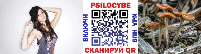 сайты даркнета официальный сайт  Певек  Галлюциногенные грибы мицелий 